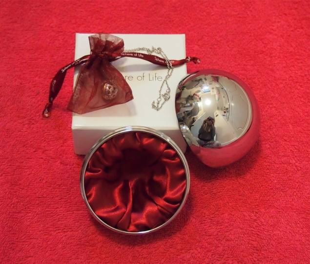 Gifted-the-perfect-Christmas-gift